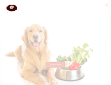 Tablet Screenshot of dogfreshfood.com